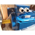 18,5 KW  3000 RPM 50 Hz / 60 Hz B3 NEW